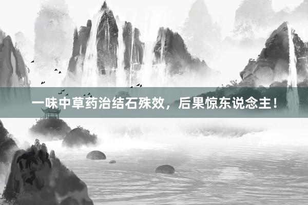 一味中草药治结石殊效，后果惊东说念主！