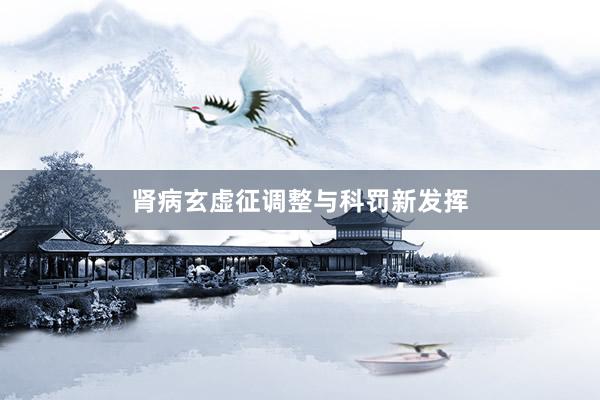 肾病玄虚征调整与科罚新发挥